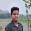 bulbul624072
