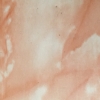SEO39