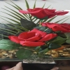 Imran3