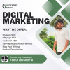 SEOexpertMainul
