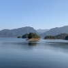 rankseoer