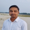 Alimul