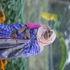 Jannatul132