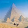 amrlabban1