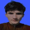 Muhammadshahis