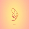 Naveed27