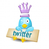socialexpert07