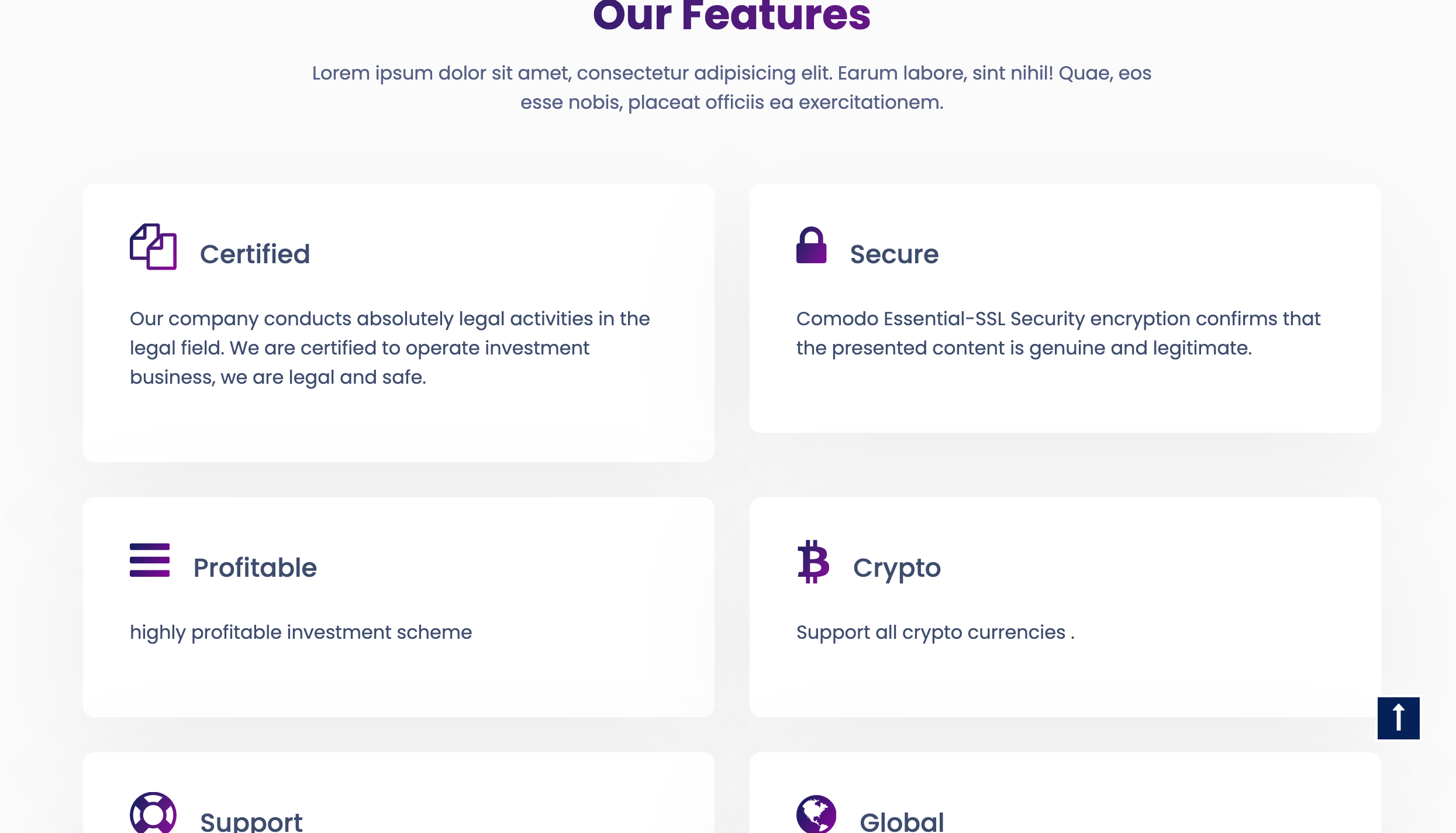 HYIPKING HYIP script which meets all your hyip/invest...