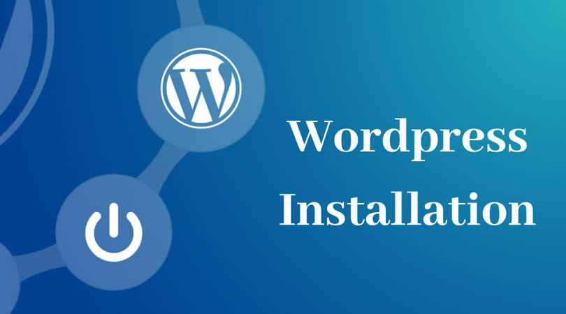 I will install WordPress, setup any theme and custom...