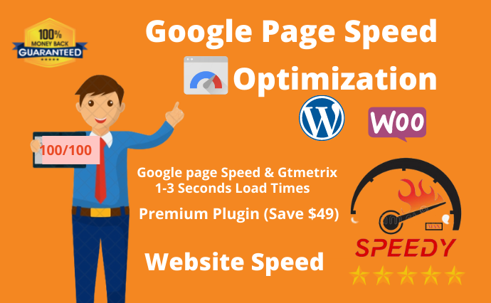 I will do wordpress website speed optimization with g...