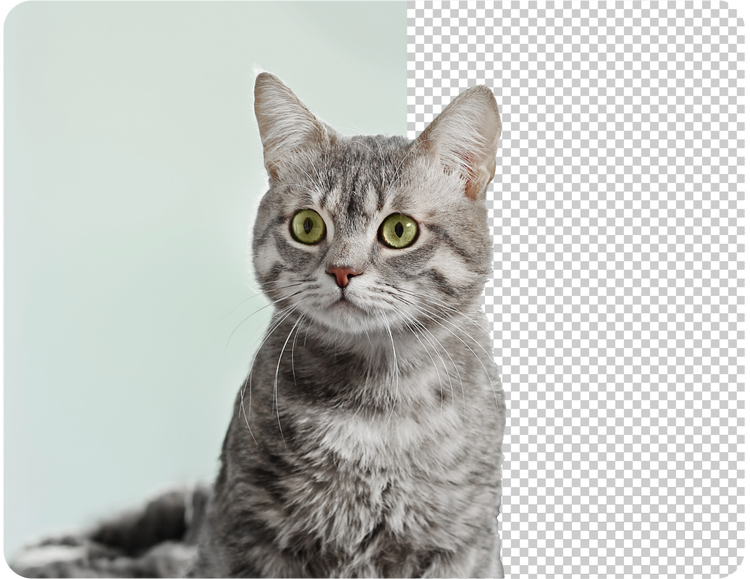 JPG to PNG Converter made by using HTML