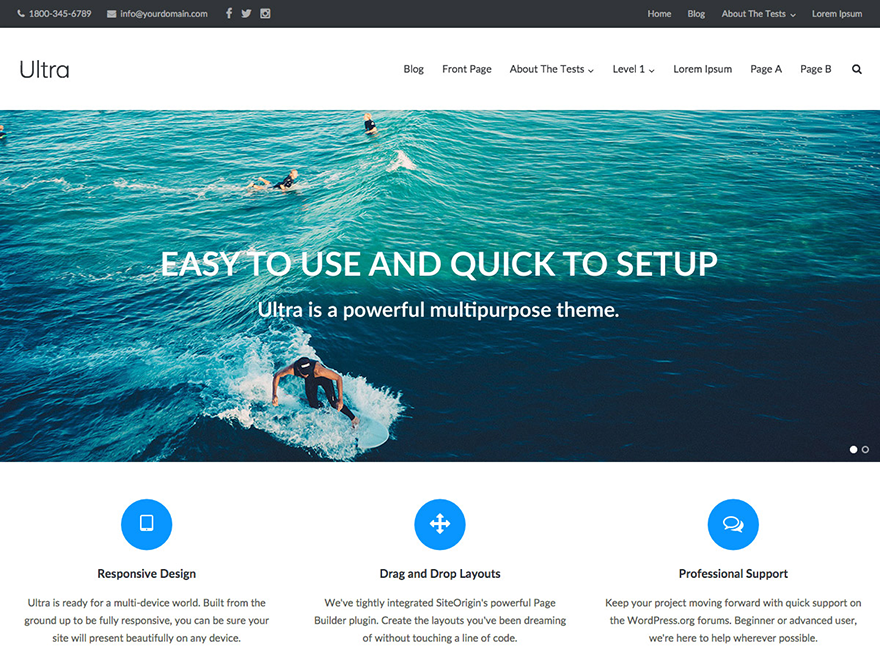 Create WordPress blog or website