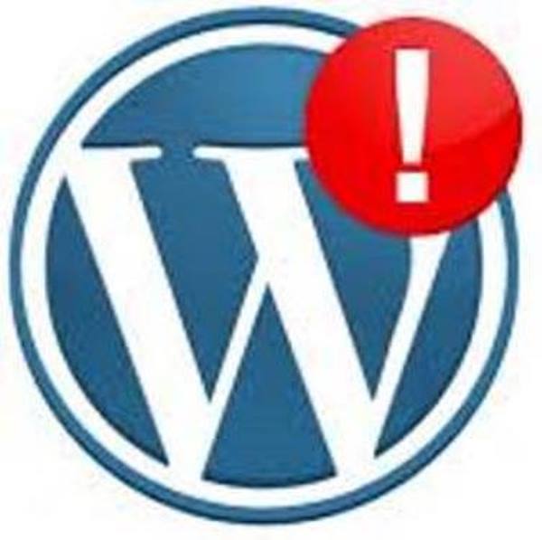 WordPress error solution quick delivery