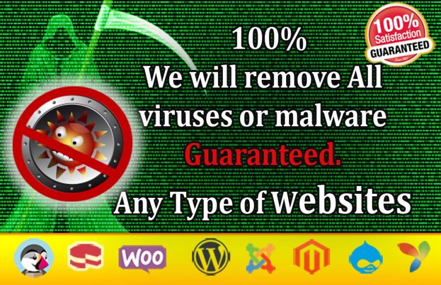 I will remove malware, virus from any type of websites or wordpress