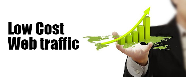 Drive 1000 Keyword Targeted Google Organic Traffic