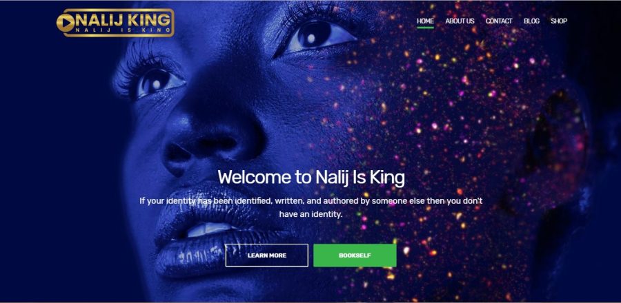 I Will Develop A Top Quality Website With A Premium Wordpress Theme