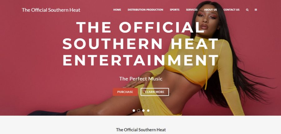 I Will Develop A Top Quality Website With A Premium Wordpress Theme