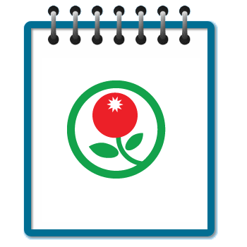 Muntingia PHP Online Quiz With Timer