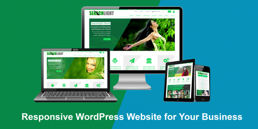 Create Your Amazing WordPress Website 