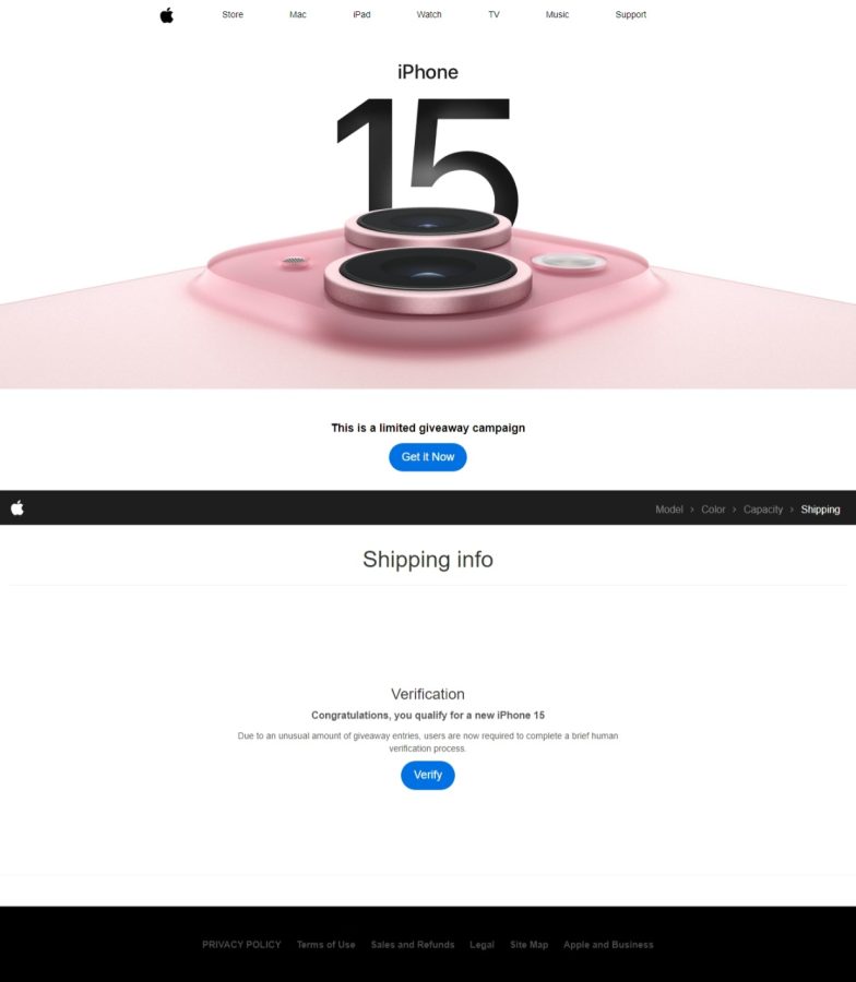 I will create a professional custom CPA landing page from your vision