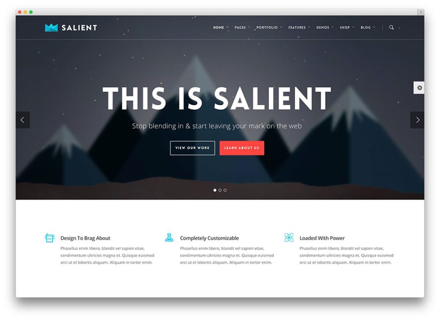 I Will Build An Amazing Professional WordPress Landing Page