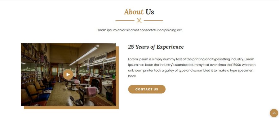 Barber Shop, Agency, etc. Web Theme 