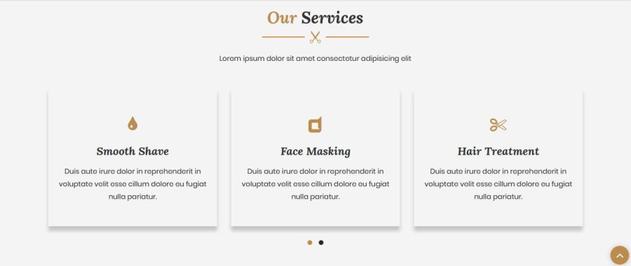Barber Shop, Agency, etc. Web Theme 