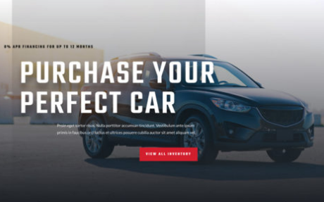 build Seo friendly responsive wordpress website design and wordpress development 