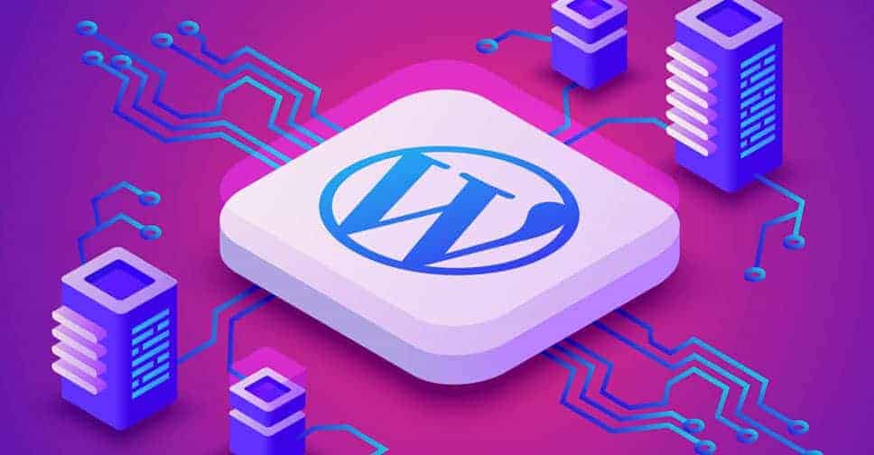 I will install and setup a wordpress theme website
