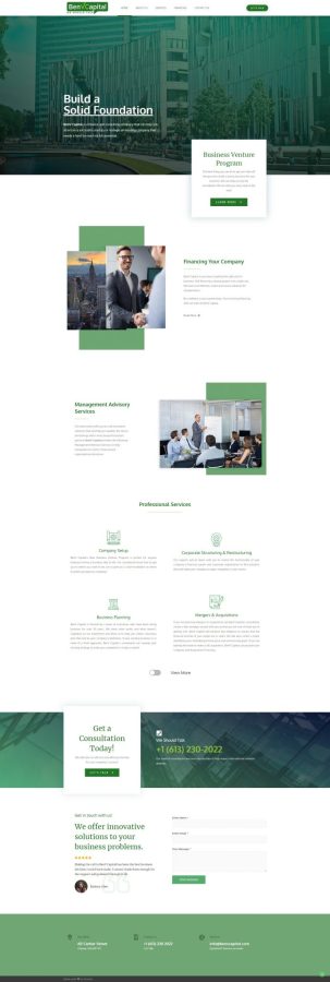 I will design your business or ecommerce wordpress website