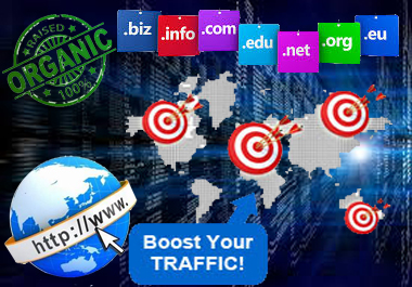 WEB TRAFFIC 7,000+ High Quality USA Traffic Visitors Worldwide to Your Website