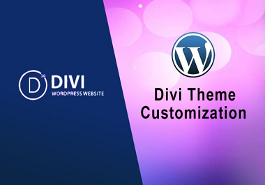 I will customize your divi theme