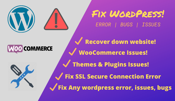 I will fix wordpress error, issues, bugs, within 24hrs