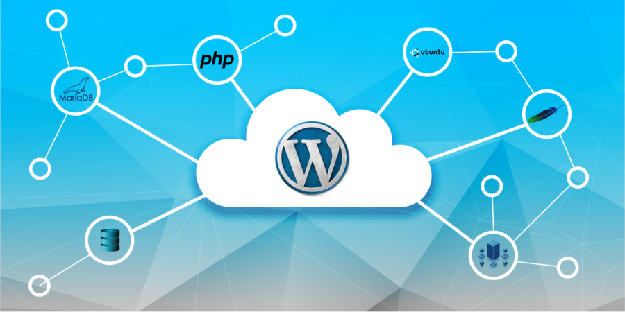 I will install WordPress, setup any theme and customization