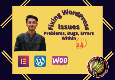 I will fix WordPress issues, WordPress website errors or Problems