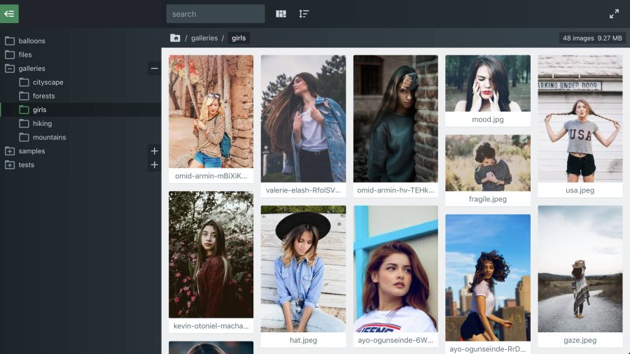 Files. Single-file PHP file viewer and gallery