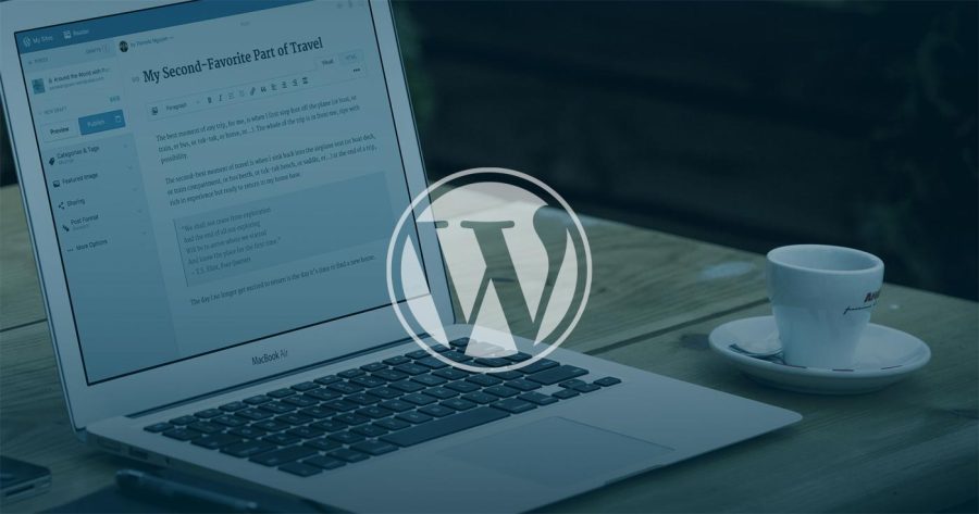 I will do website development and be your wordpress developer