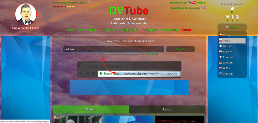 DVTube - full multi languages website for download video and audio from YouTube