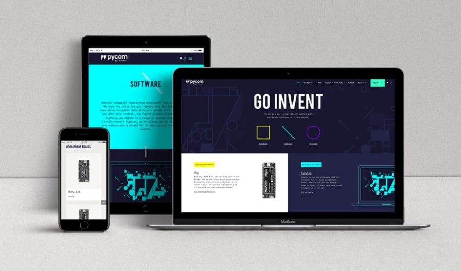 build wordpress responsive website with divi theme