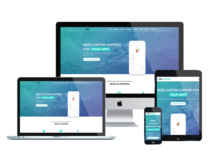build wordpress responsive website with divi theme