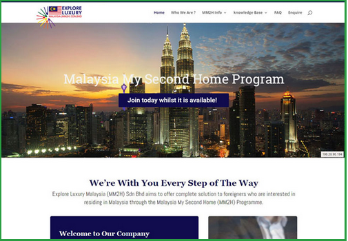 I will design your Wordpress business webpresence using elementor pro