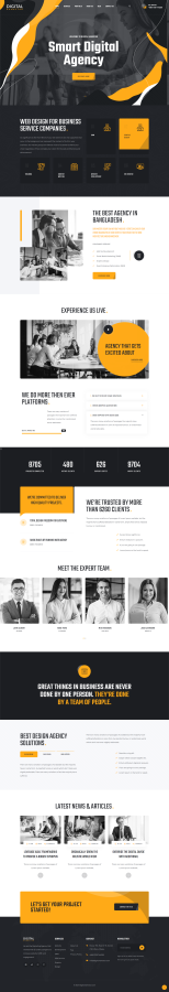I will design wordpress website with divi theme included
