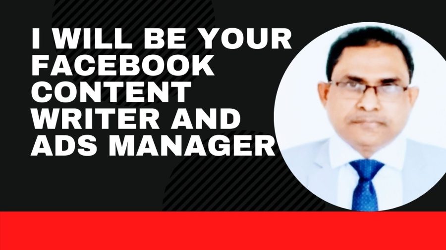 I will be your facebook, twitter, linkedin content writer and ads manager