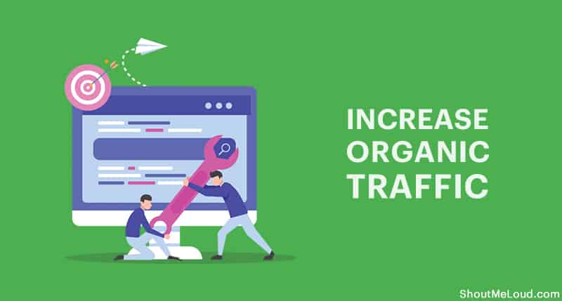 Organic SEO traffic daily 1000 for a month