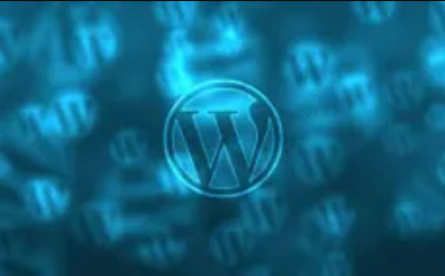 I will provide you Premium WordPress Themes or Plugins