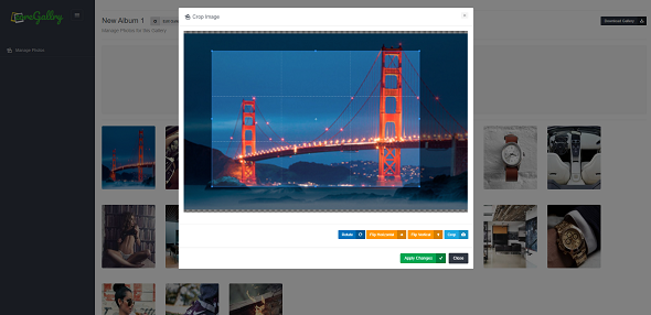 I will give you an amazing jquery UI sortable Drag & Drop Photo album
