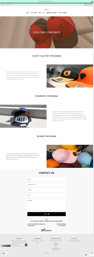 I will design shopify ecommerce website