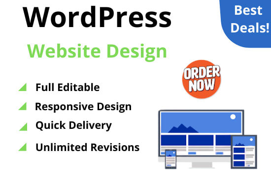 I will build wordpress website, ecommerce website