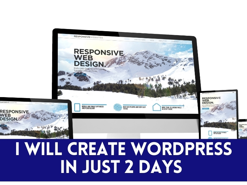 I will design professional and responsive WordPress website