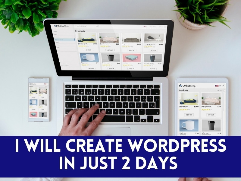 I will design professional and responsive WordPress website